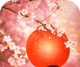 Escape Game: Cherry Blossom Festival   