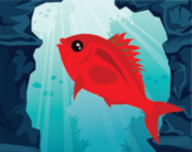 Small Fin   