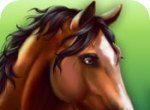 Horse Inn   