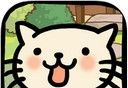 Cat Evolution World   