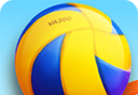 Professional Beach Volleyball   