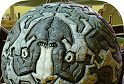 Stone of the Century 2   