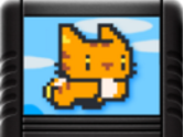 Invincible Cats   