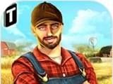 Small Town Farm Simulation   