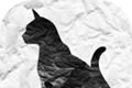 The journey of the cat in search of its mother   