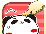 Panda chubby   