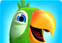 Talking Parrot   