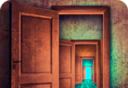 501 doors  logo image