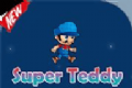 Super Teddy Adventure   