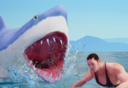 Raft Survival Island   