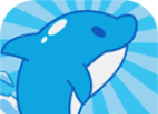 Dolphin Cool Run   