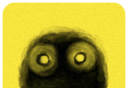 Noi r  