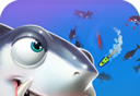 Brutal Shark: Surfers   