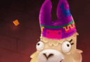 Adventure Camel   