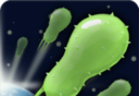 Plague Bacteria   
