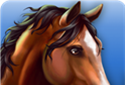 Take care of the horses   