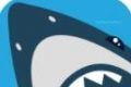 Shark Pool   