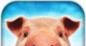 PigSimulato r logo image