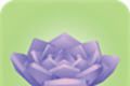 Virtual Potted Plant   