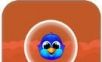 Birds Rise   