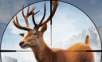 Wilderness Animal Hunting   
