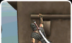 Assassin Ninja   