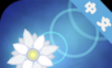 Scattered Flowers   