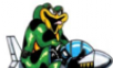 Frog Ninja   