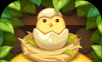 Play eggs   