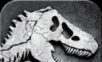 Jurassic World 2   