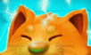 Cat Lab   