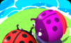 Ladybug Touch   