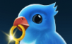 Bird in a cage   