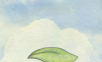Fengzi   