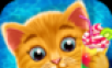Cat Baby Pool Party   