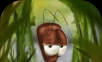 AntVento r  