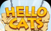 Hello cat   