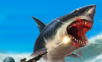 Hungry Shark Hunting   