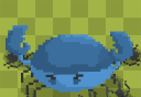 Ant colony   