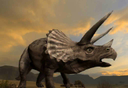Triceratops Survival Simulator   