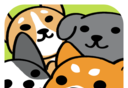 Adorable Dog Adventure   