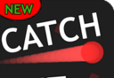 Catch Bouncing Ball   
