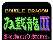 Double Dragon 3 (Gohan Edition)   