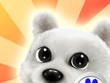 Sunny Day Puppy    Bai  Du  Ban 