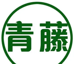 Aoto Camera logo image