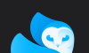 lightleap logo image