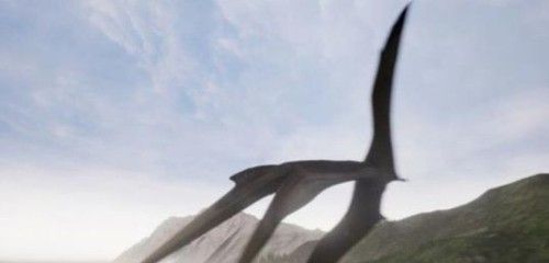 Dragon Island Monster (Mobile Version) 
