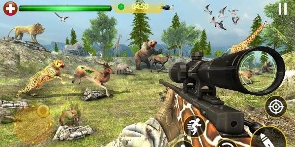 Dead Zombie Border Shooting 