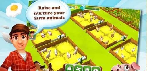 Ranch farming town 