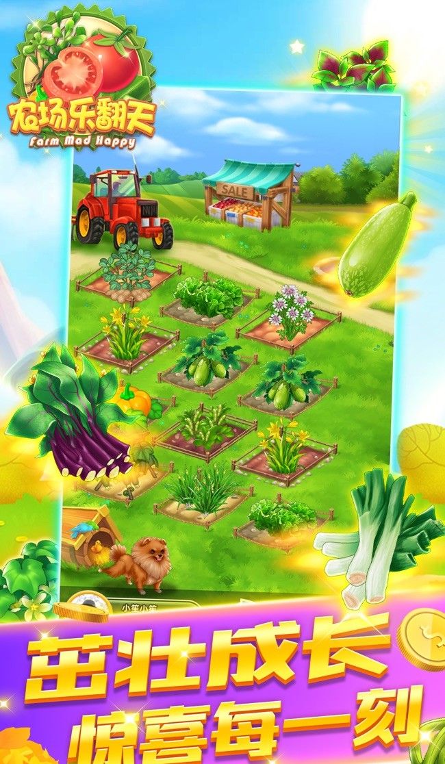 Farm Lele 